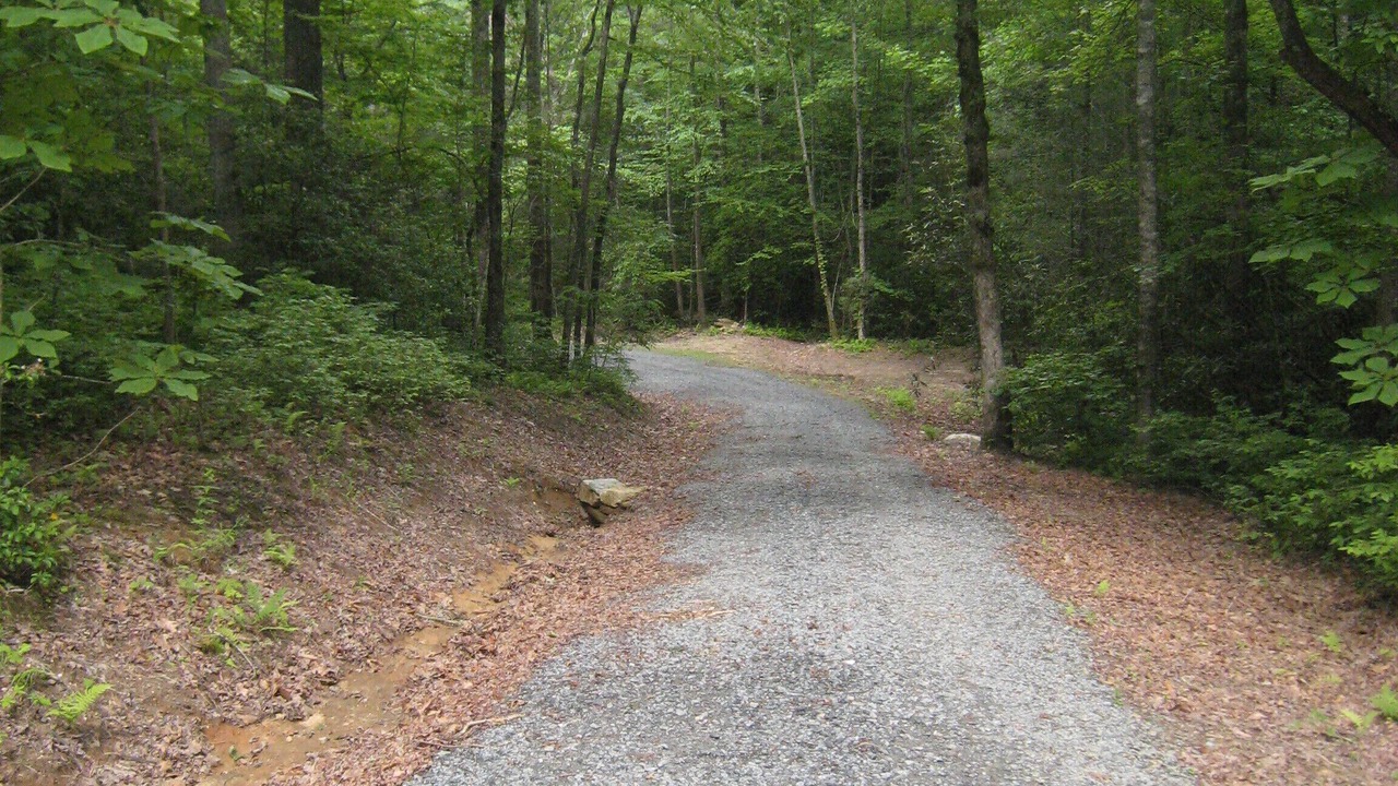 Photo of Outdoor in Brevard