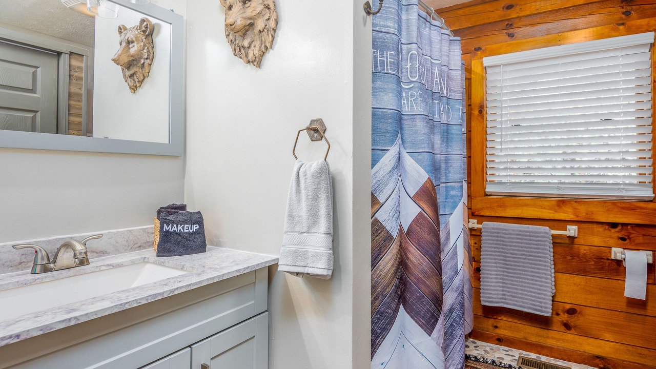 Photo of Bathroom in Waynesville