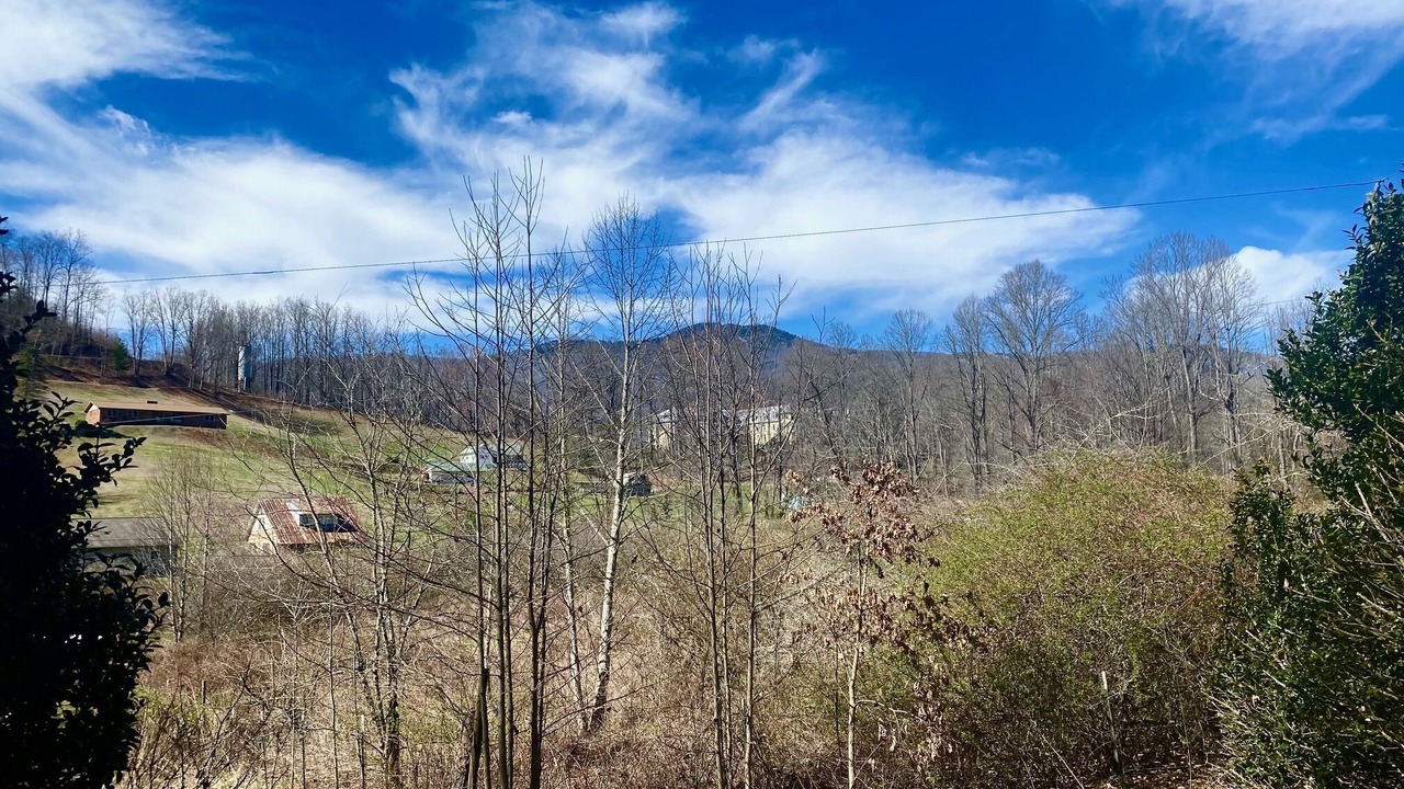 Photo of Others in Sylva