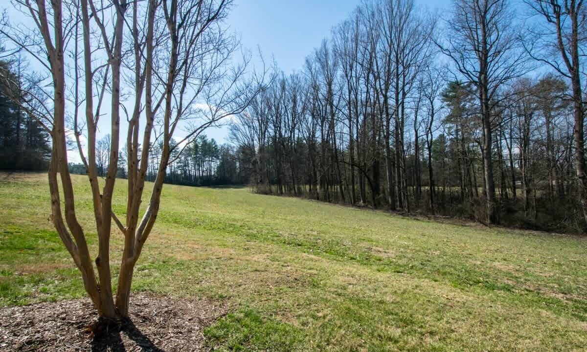 Photo of Others in Hendersonville