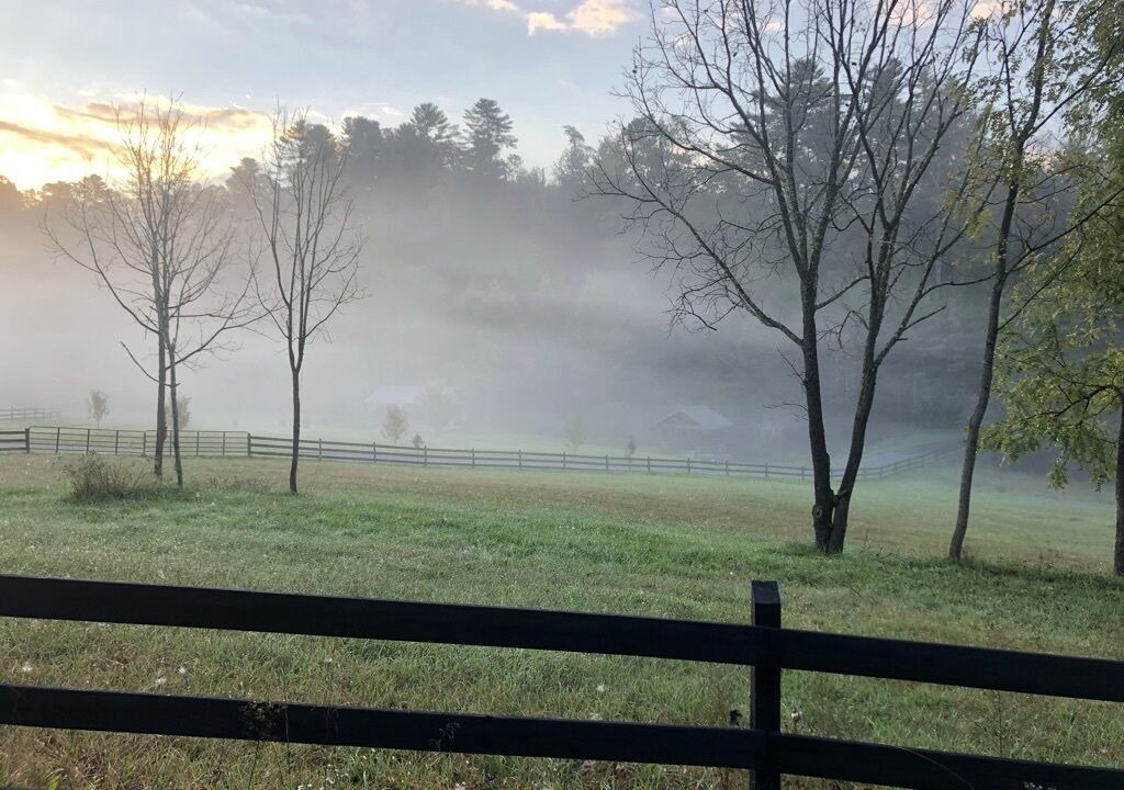Photo of Others in Weaverville