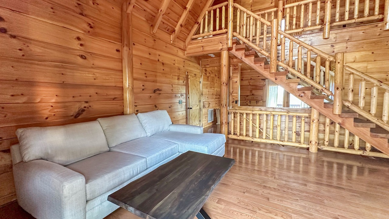 Photo of Livingroom in Dobson