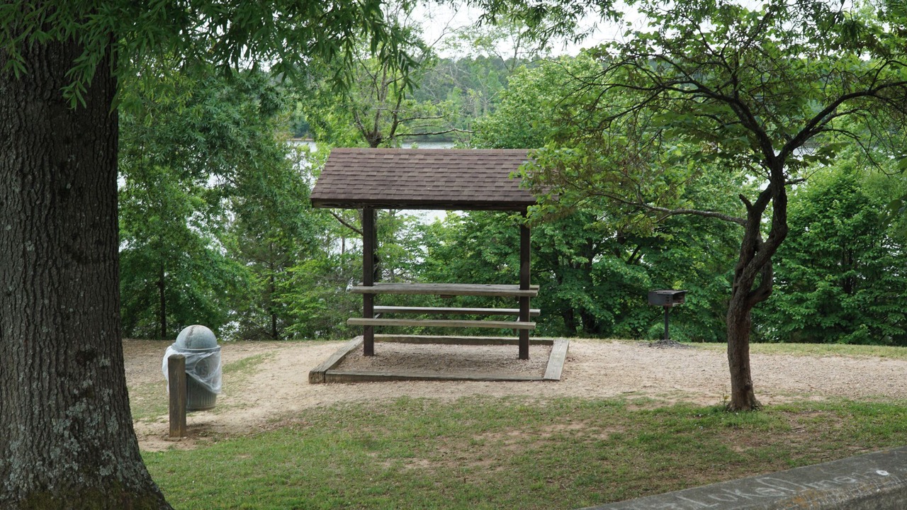 Photo of Outdoor in North Raleigh