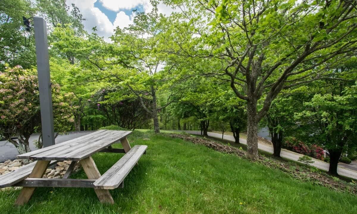 Photo of Outdoor in Maggie Valley