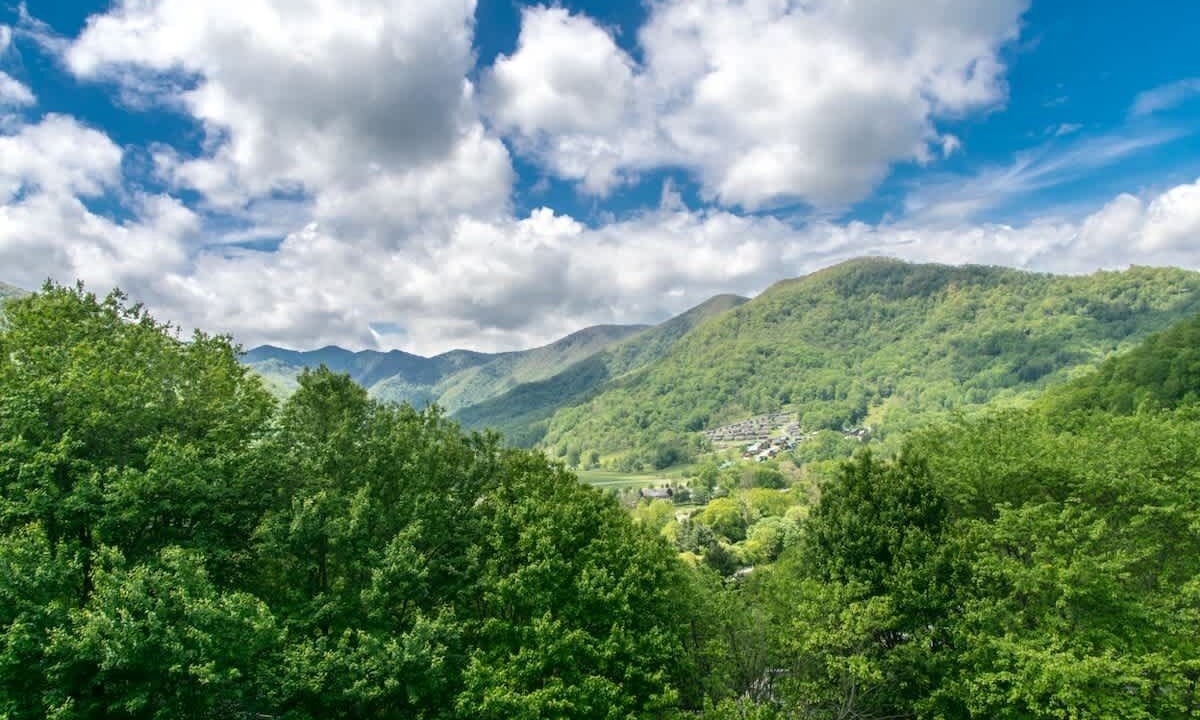 Photo of Others in Maggie Valley
