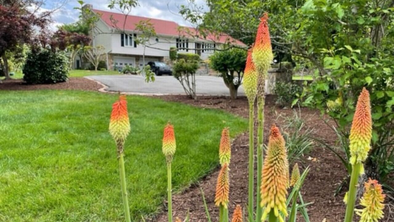 Photo of Outdoor in Leasburg