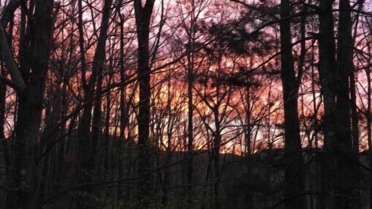 Photo of Others in Saluda