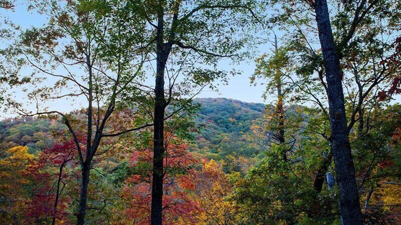 Photo of Others in Black Mountain