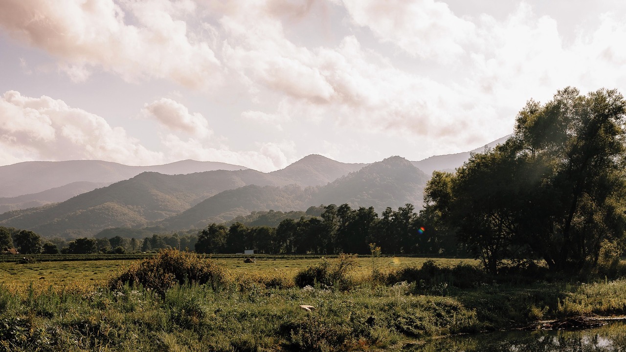 Photo of Others in Canton