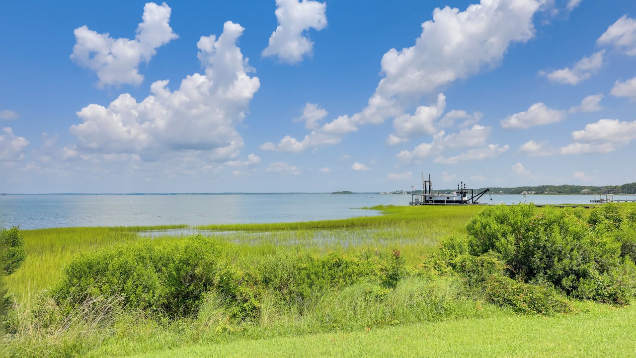 Photo of Others in Morehead City