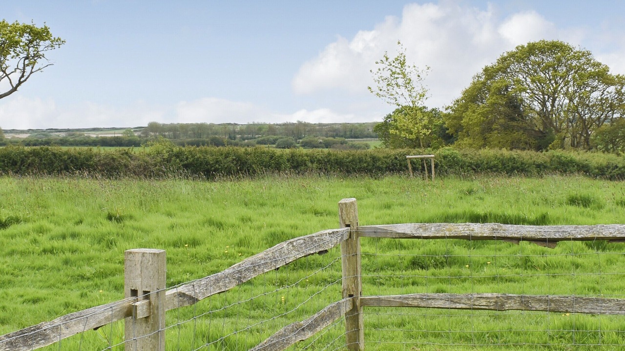 Photo of Outdoor in Cooden