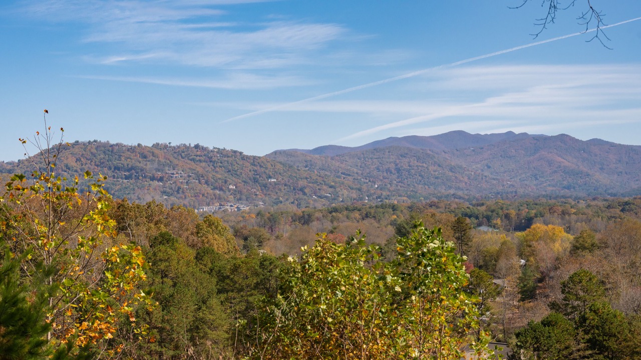 Photo of Others in Asheville