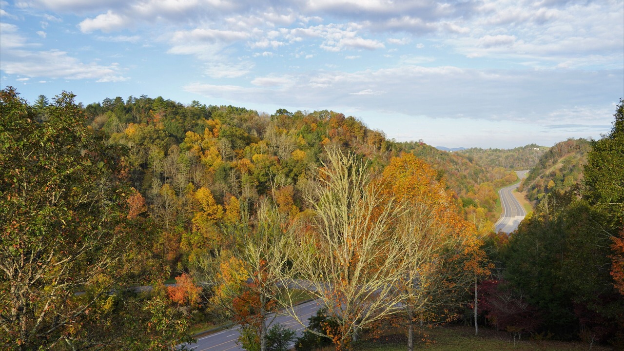 Photo of Others in Weaverville