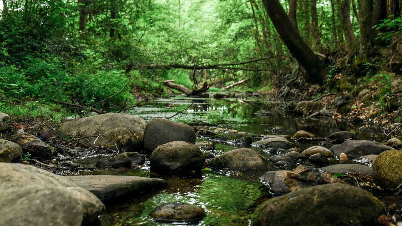 Photo of Outdoor in Nebo