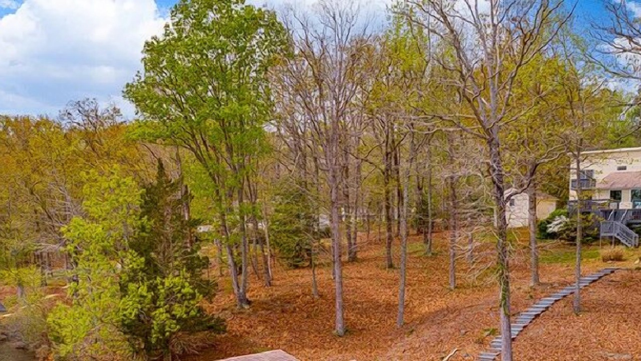 Photo of Outdoor in Morristown