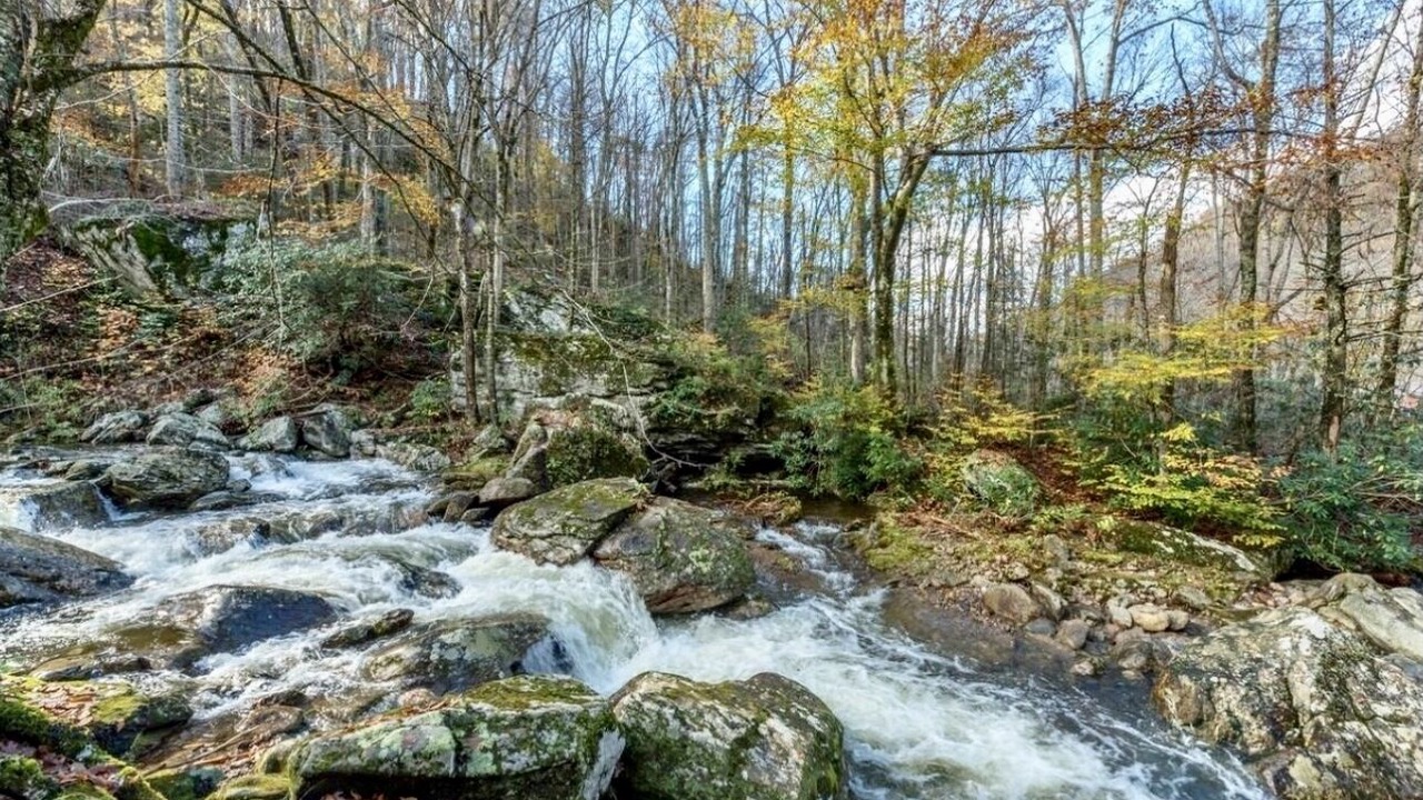 Photo of Others in Cattail Creek