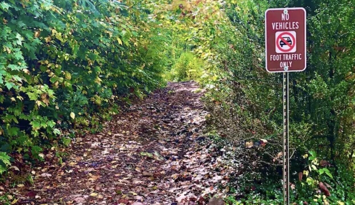Photo of Outdoor in Cattail Creek