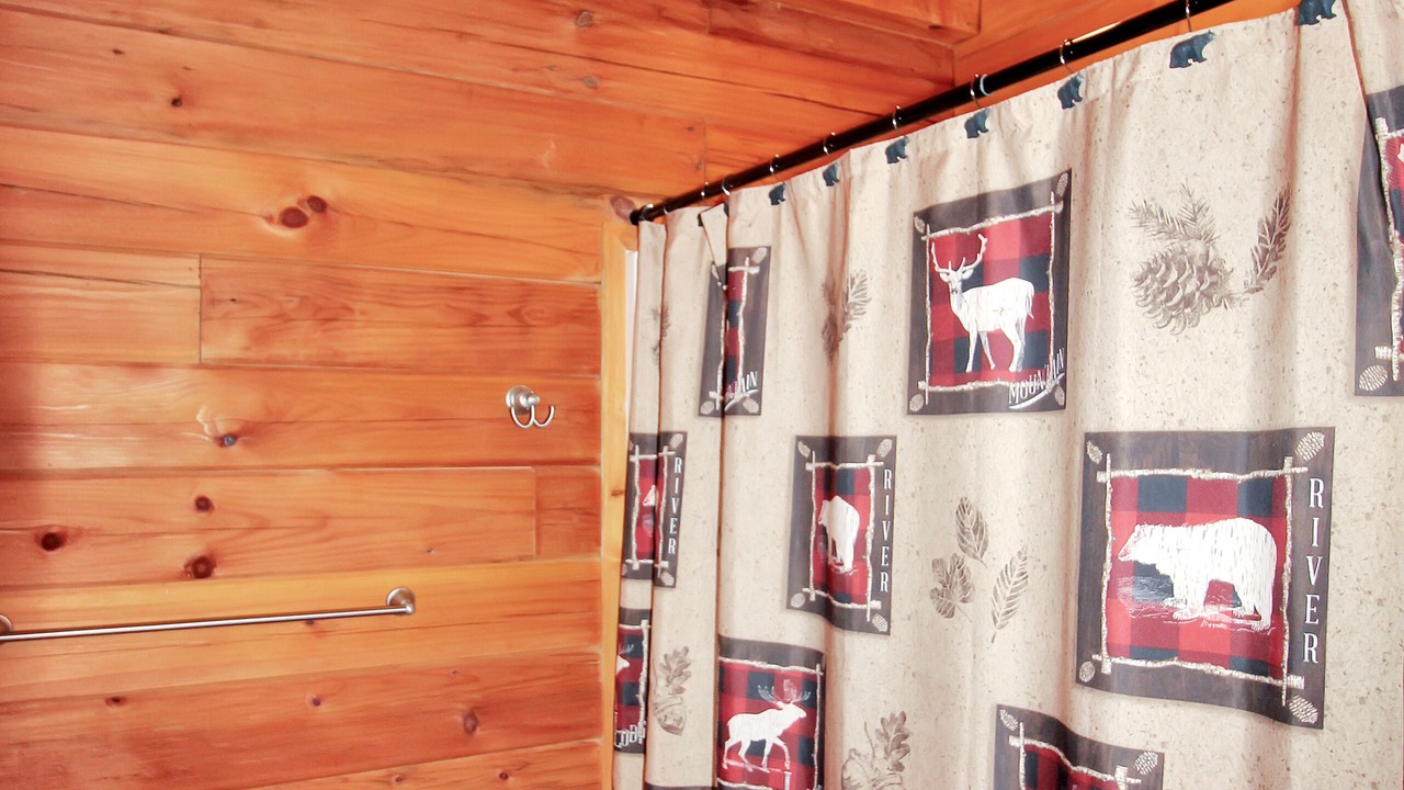 Photo of Bathroom in Vein Mountain