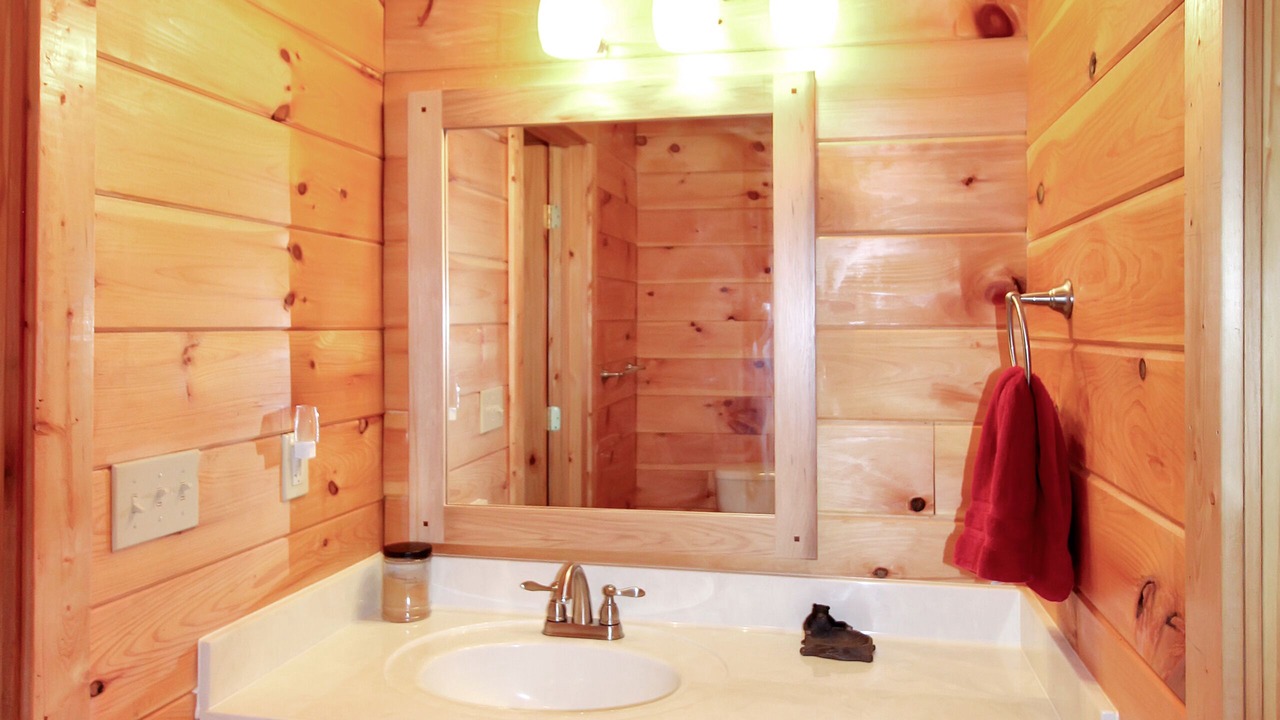 Photo of Bathroom in Vein Mountain