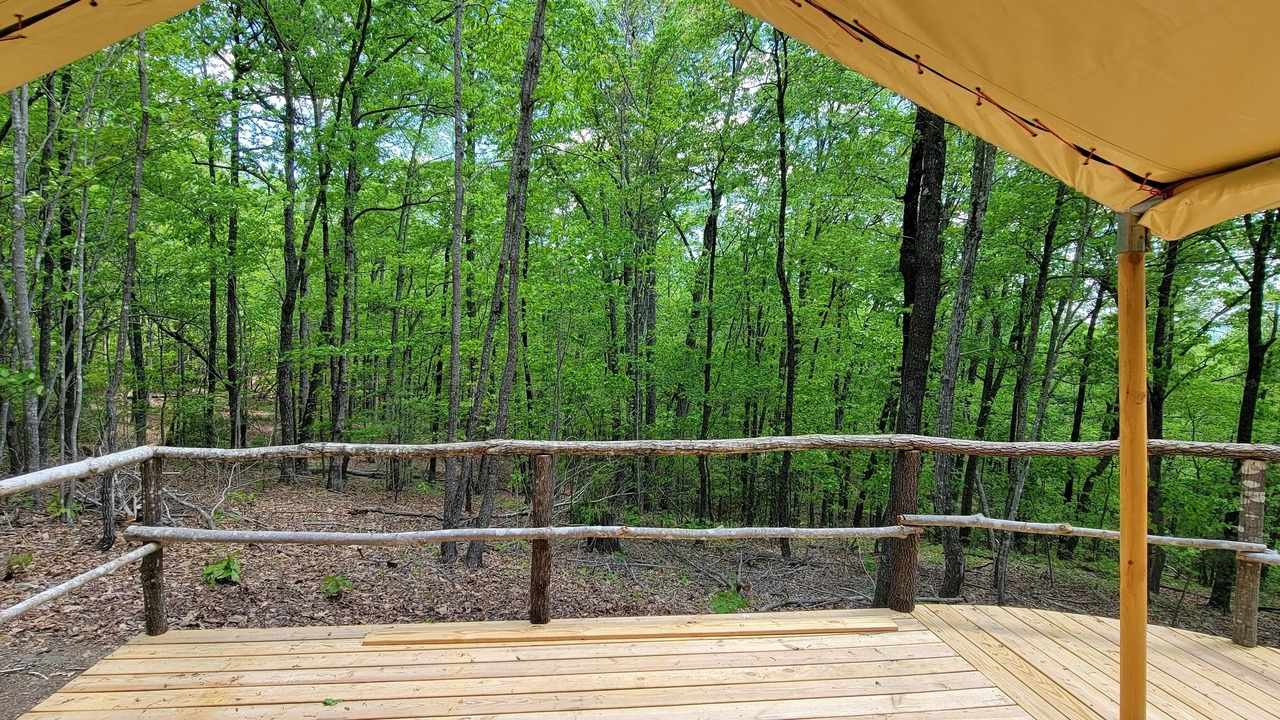 Photo of Outdoor in Lenoir