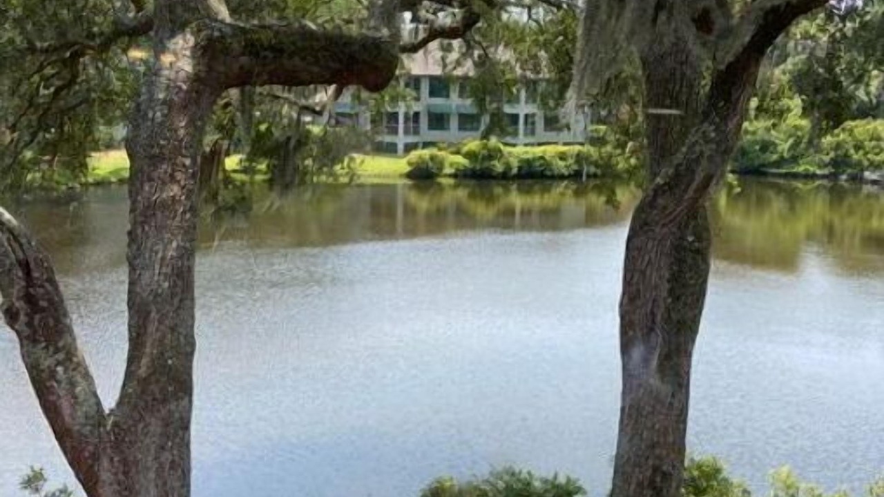 Photo of Outdoor in Kiawah Island
