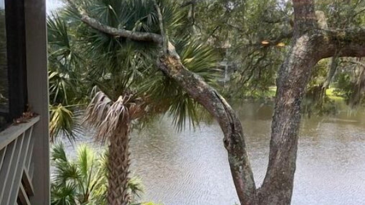 Photo of Outdoor in Kiawah Island