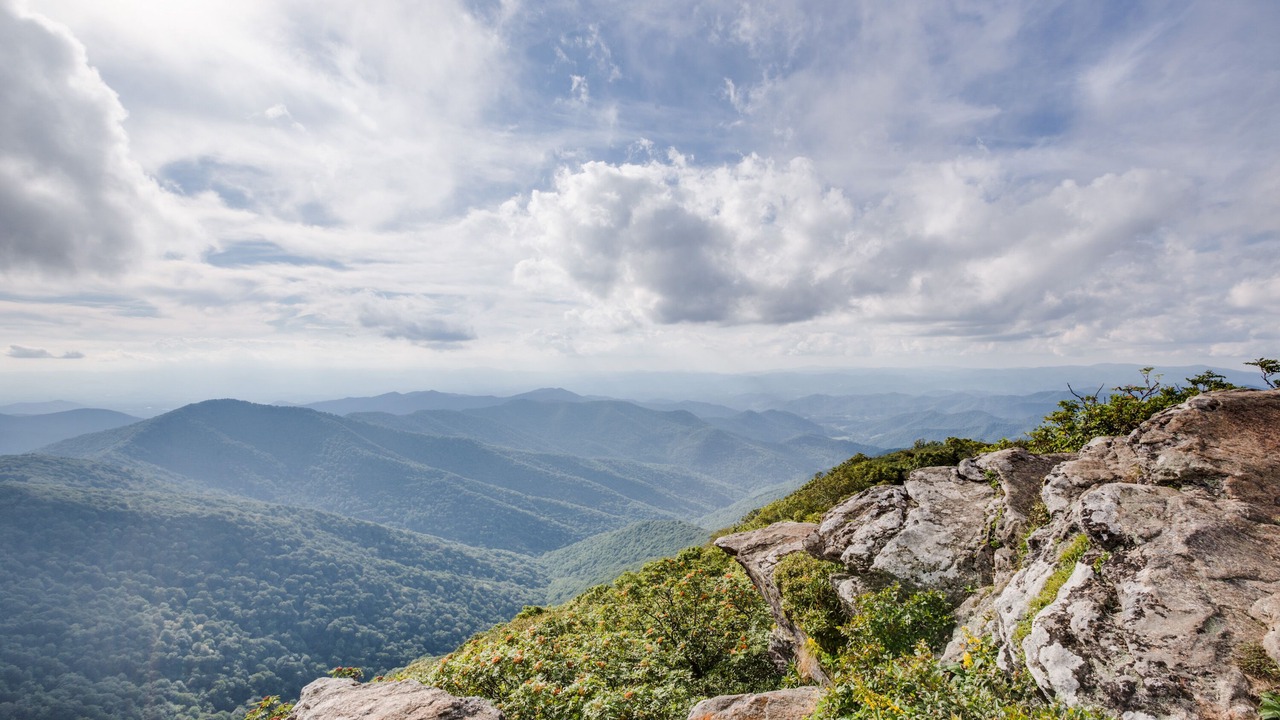 Photo of Outdoor in Candler