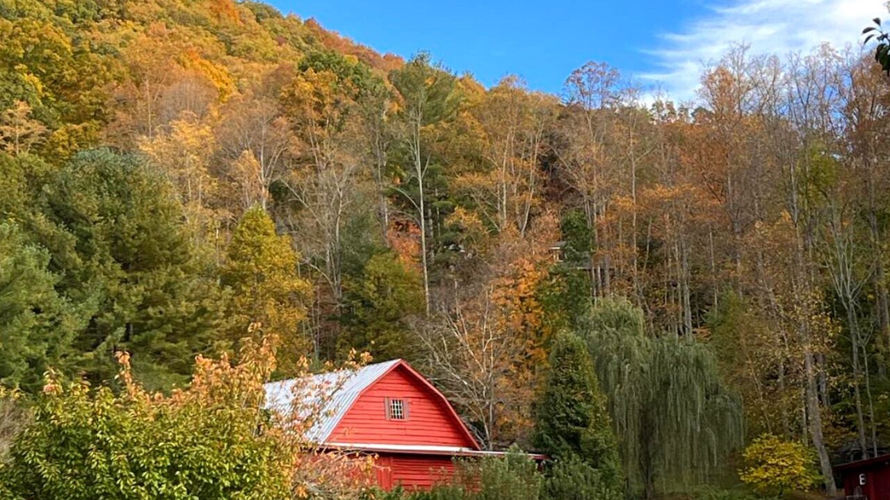 Photo of Others in Weaverville