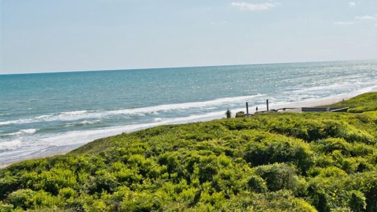 Photo of Others in Indian Beach