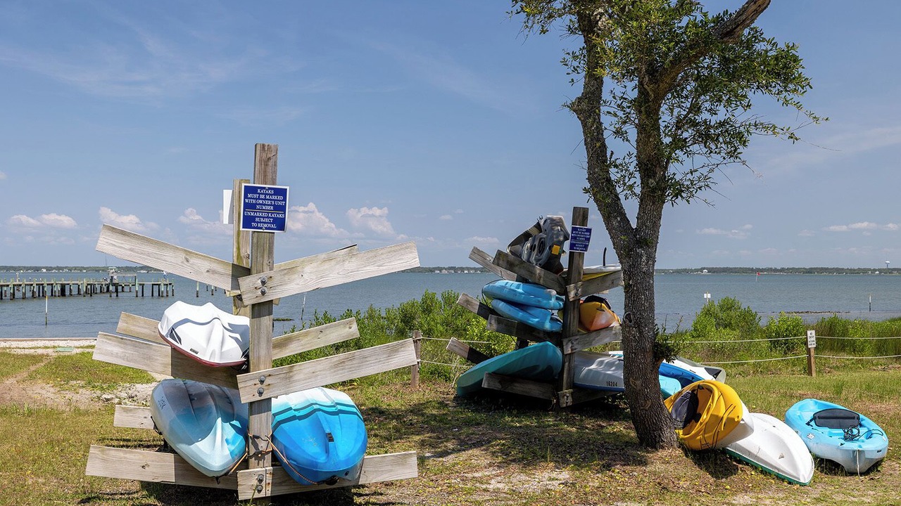 Photo of Others in Indian Beach