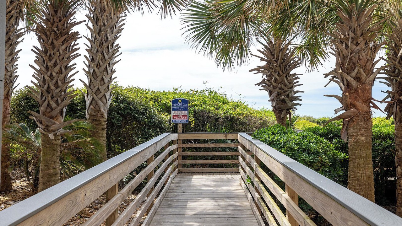 Photo of Others in Indian Beach