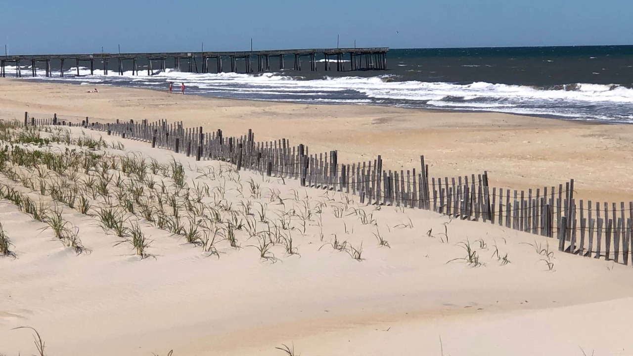 Photo of Others in South Nags Head