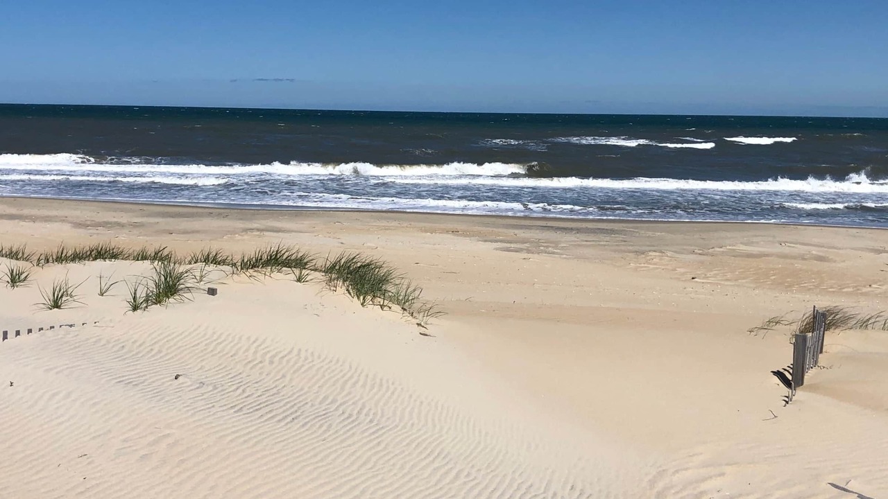 Photo of Others in South Nags Head