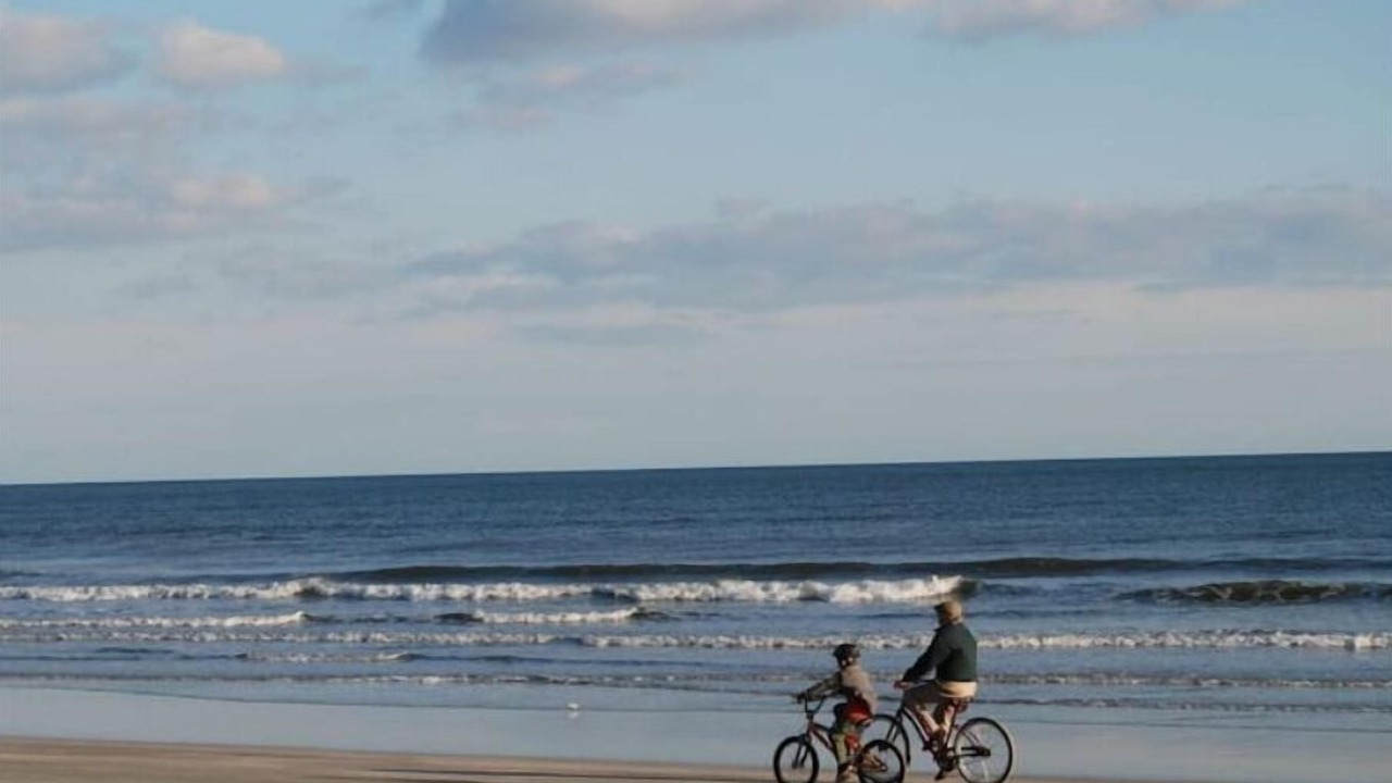 Photo of Others in Sea Trail