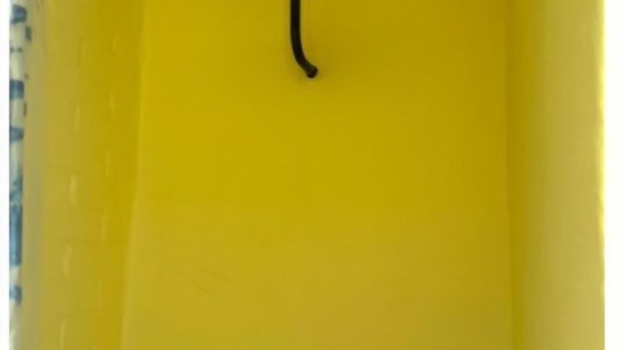 Photo of Bathroom in Colington