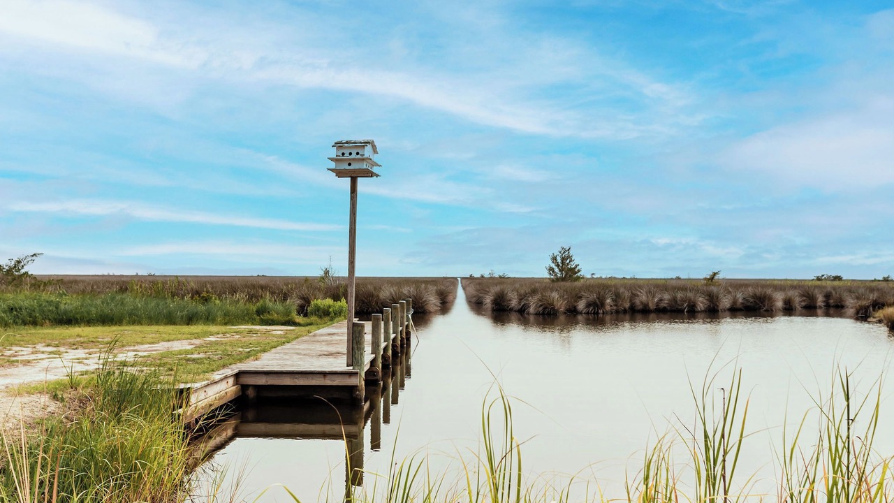 Photo of Outdoor in Wanchese
