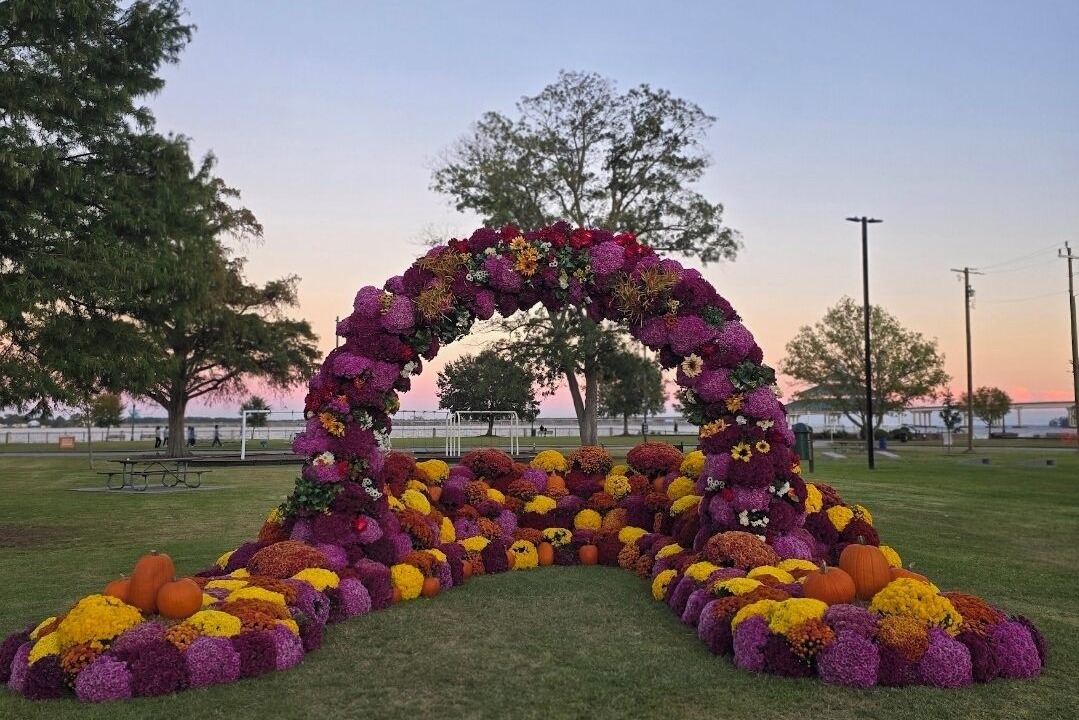 Photo of Outdoor in New Bern
