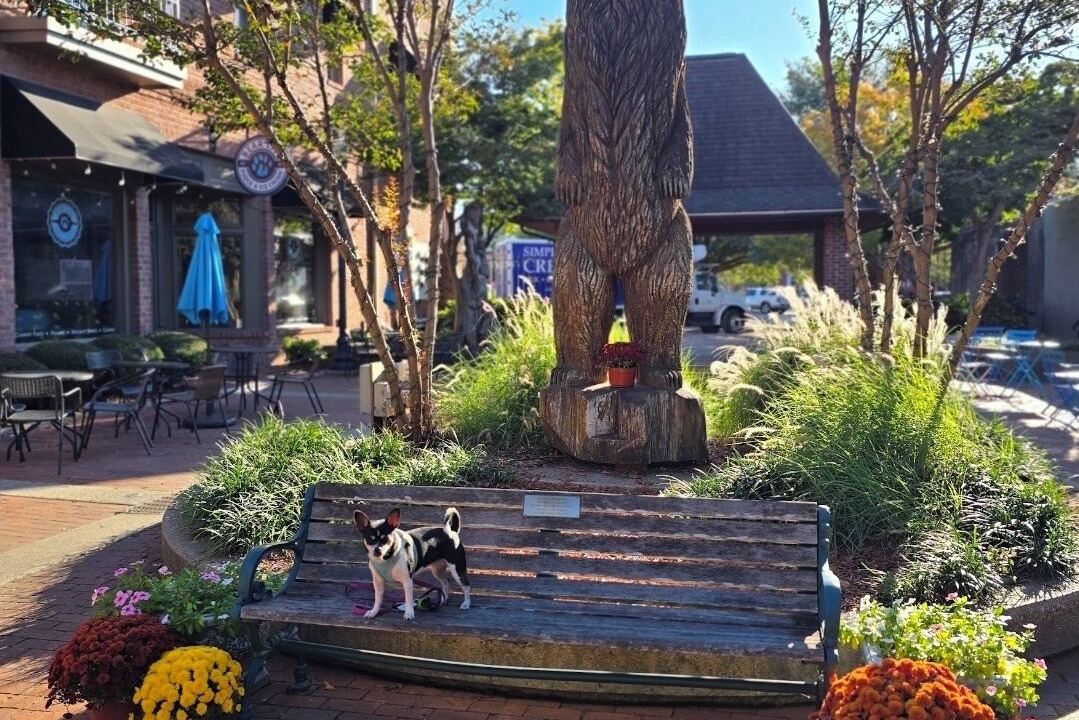 Photo of Outdoor in New Bern