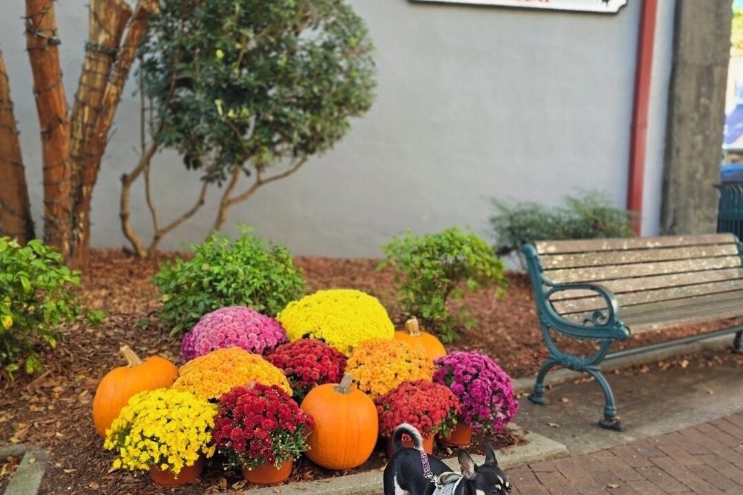 Photo of Outdoor in New Bern