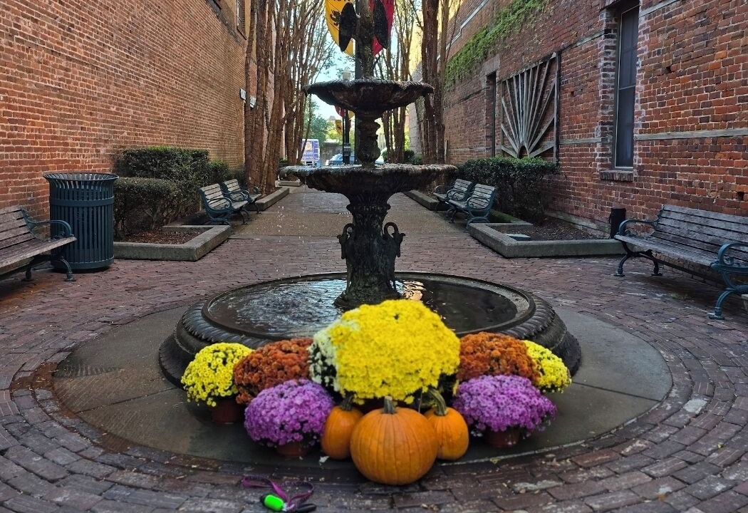 Photo of Outdoor in New Bern