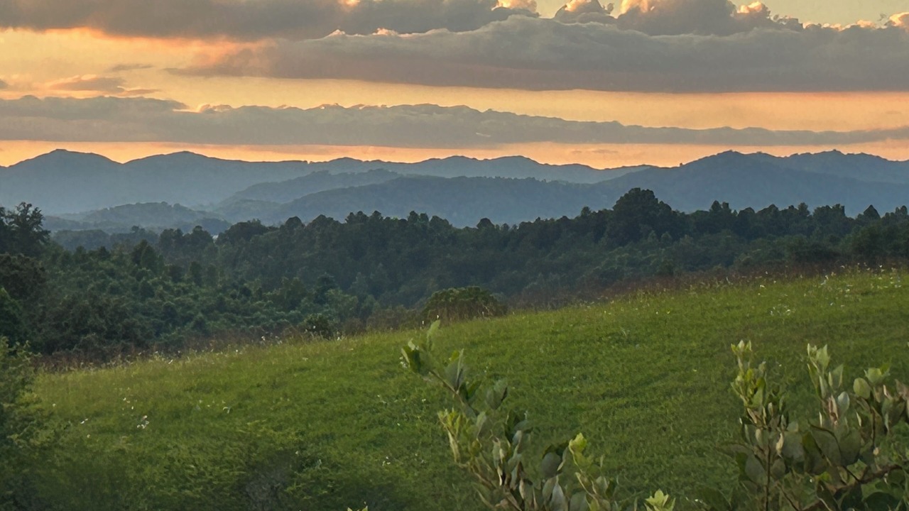 Photo of Others in Weaverville