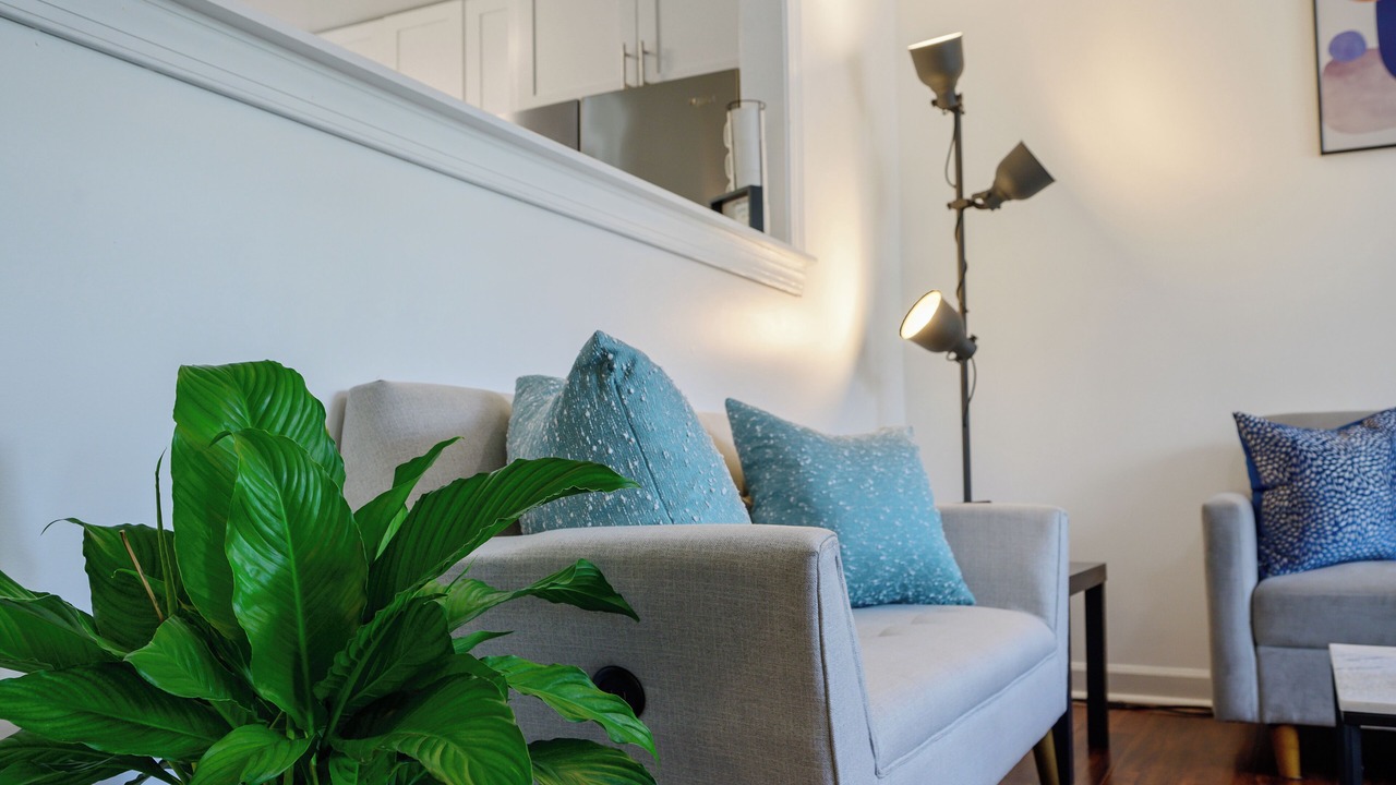 Photo of Livingroom in East Raleigh