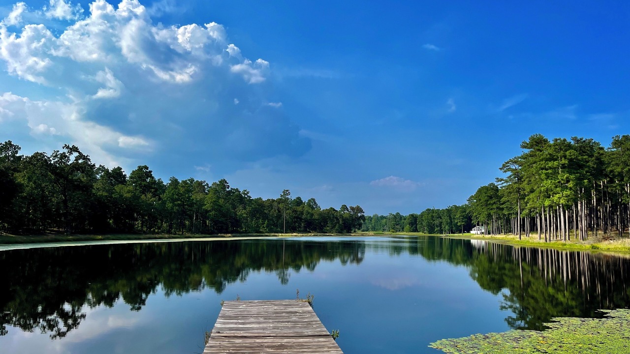 Photo of Outdoor in Five Points