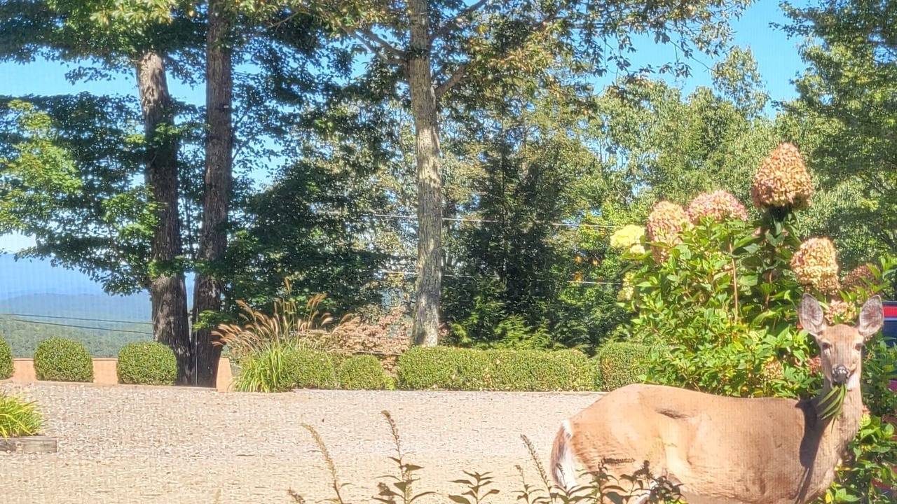 Photo of Outdoor in Burnsville