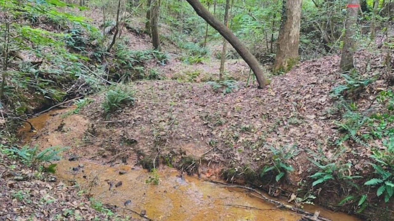 Photo of Others in Hickory