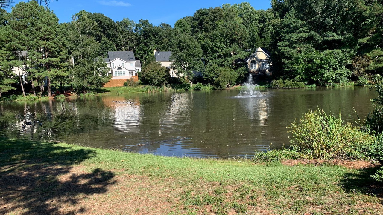 Photo of Outdoor in Cary