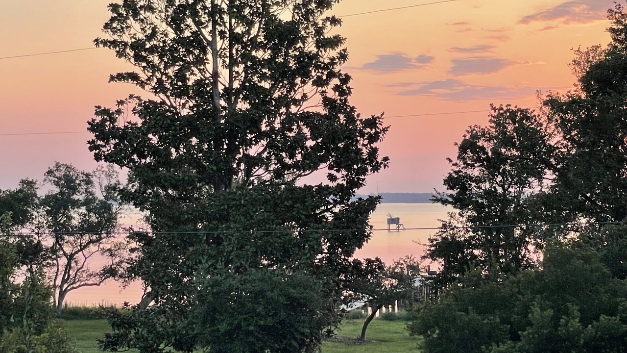 Photo of Outdoor in Morehead City