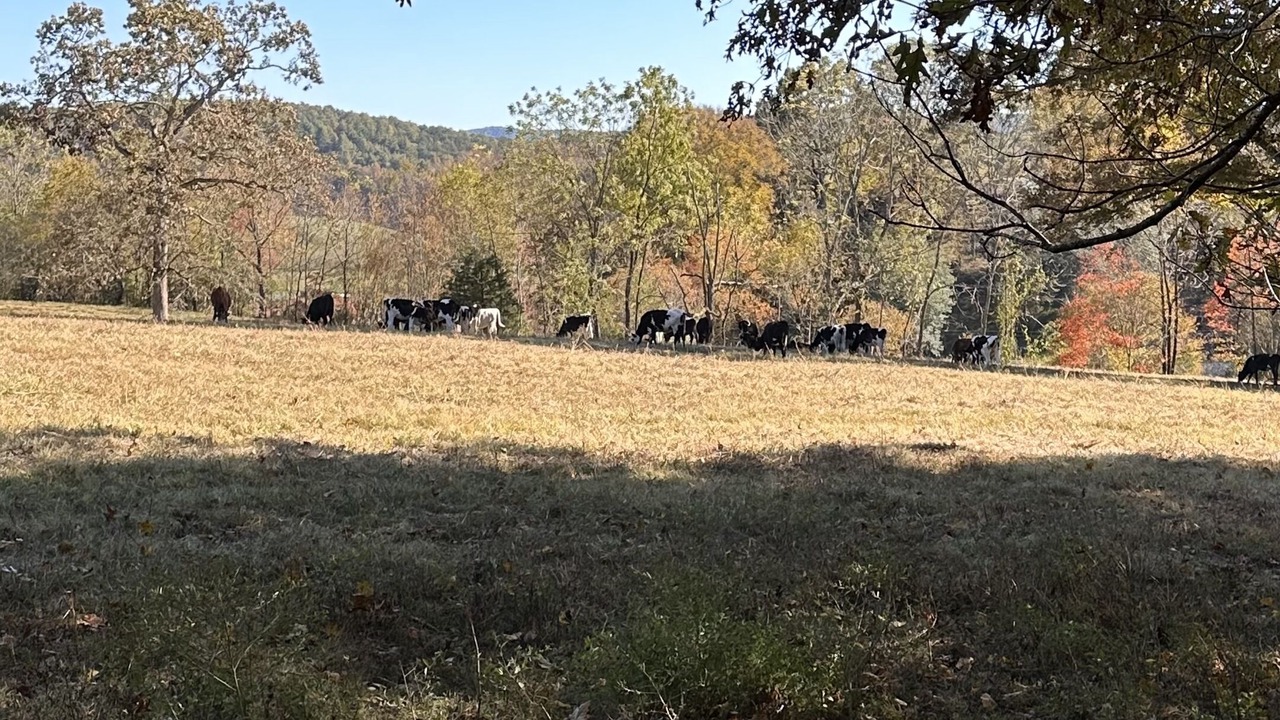 Photo of Others in Murphy