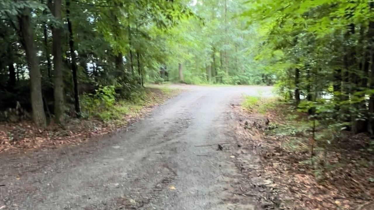 Photo of Others in Murphy