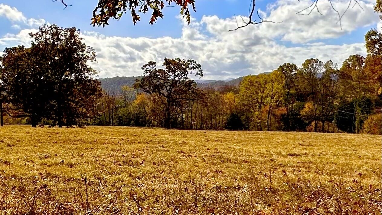 Photo of Outdoor in Murphy